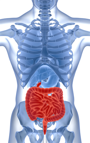 gastroenterologia y endoscopia en Puebla